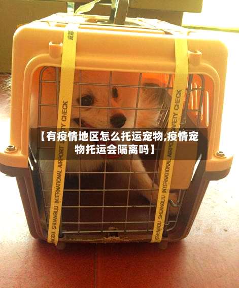 【有疫情地区怎么托运宠物,疫情宠物托运会隔离吗】-第1张图片