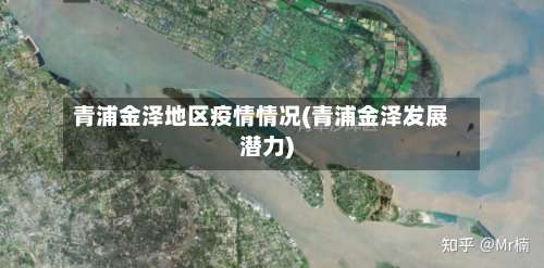青浦金泽地区疫情情况(青浦金泽发展潜力)-第1张图片
