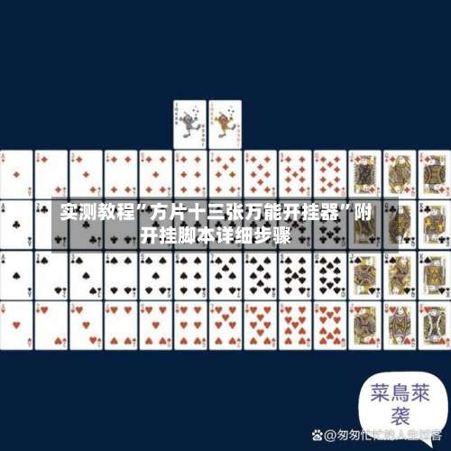 实测教程”方片十三张万能开挂器”附开挂脚本详细步骤-第2张图片