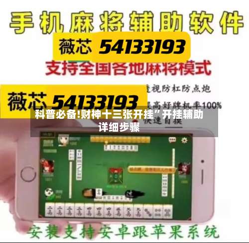 科普必备!财神十三张开挂”开挂辅助详细步骤-第2张图片